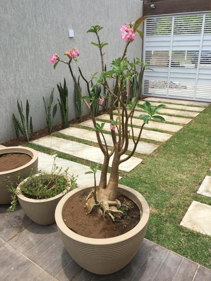 Casa De Praia Tamandaré المظهر الخارجي الصورة